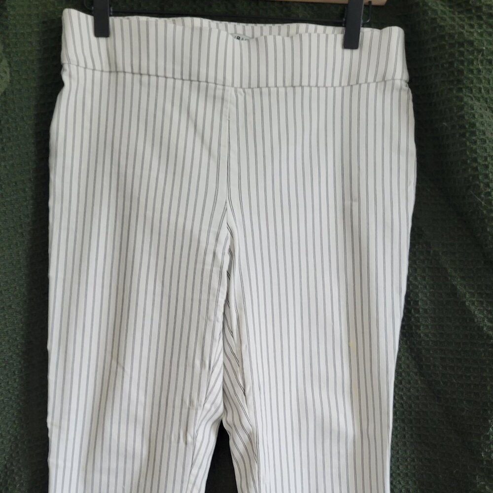 White House Black Market Slim Fit Crop Paints